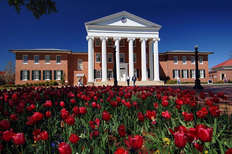 University cover image